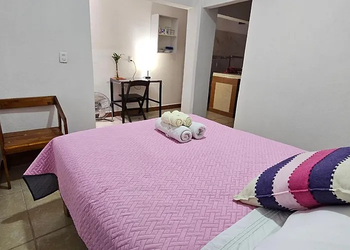 Depa Purpura Caracol