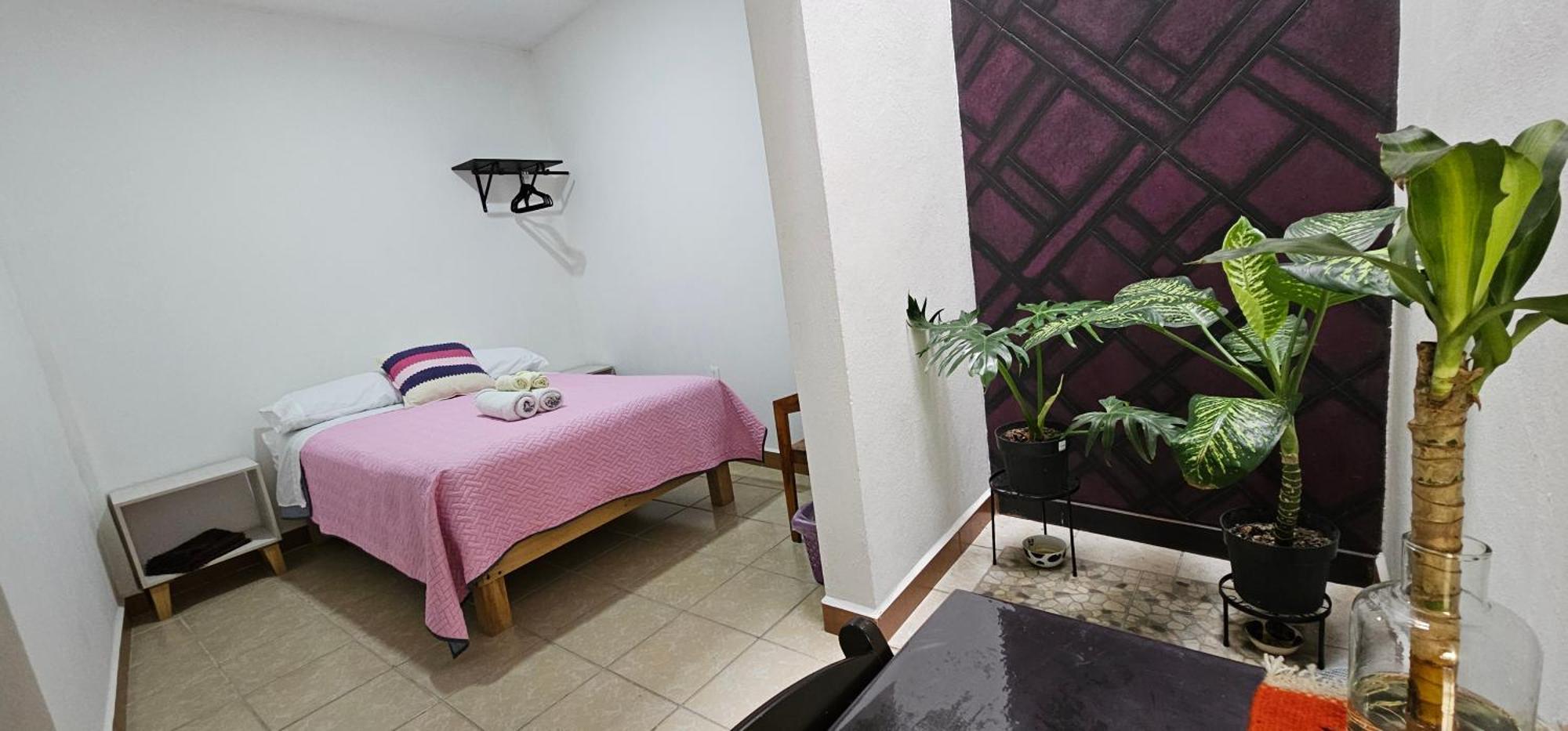 Depa Purpura Caracol *